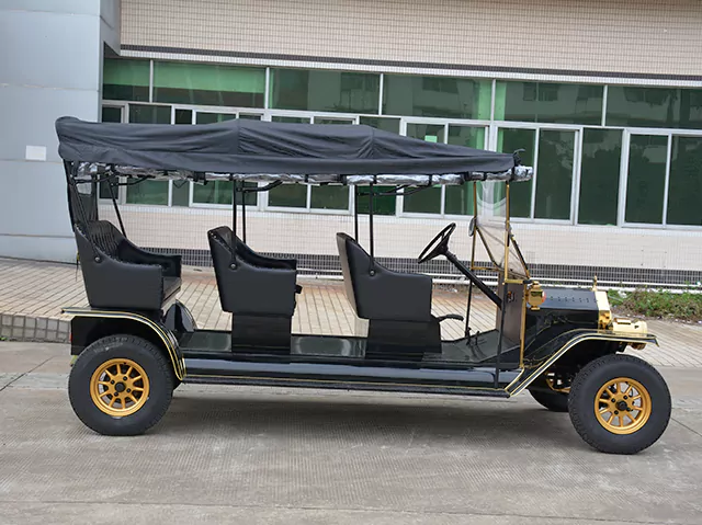  Classic Sightseeing Car