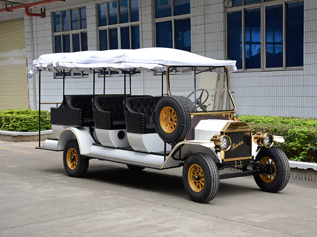  11 Seats Sightseeing Bus