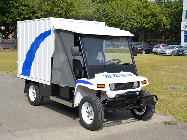  mini Electric Van