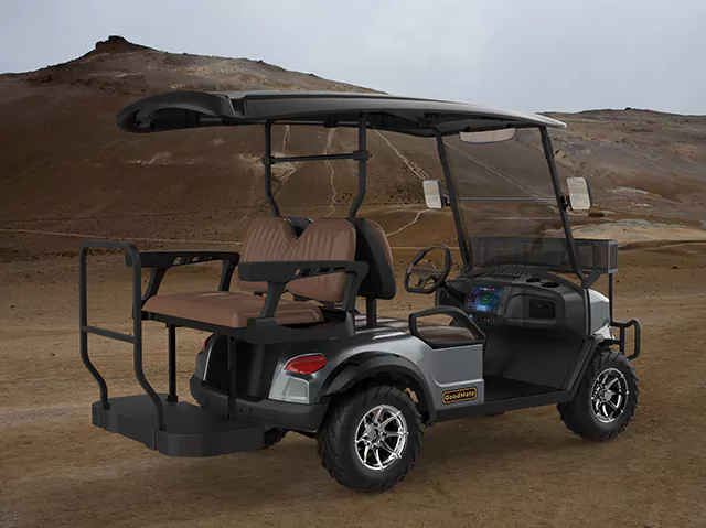  Electric Golf Buggy
